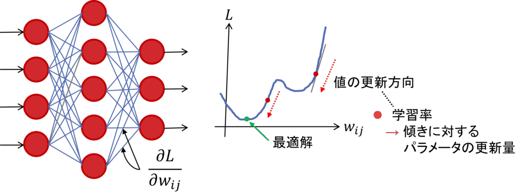 図8: 学習によるモデルパラメータの更新