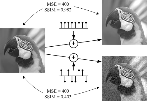 図9: PSNRとSSIMの比較例