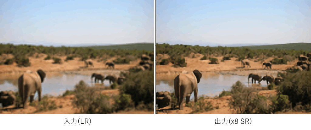 図12: 入出力画像1